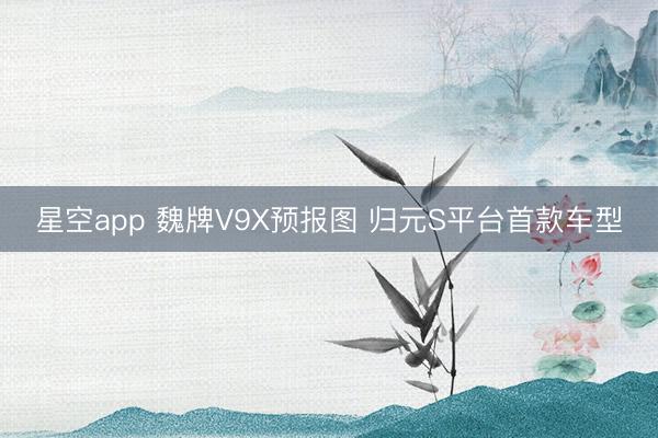 星空app 魏牌V9X预报图 归元S平台首款车型