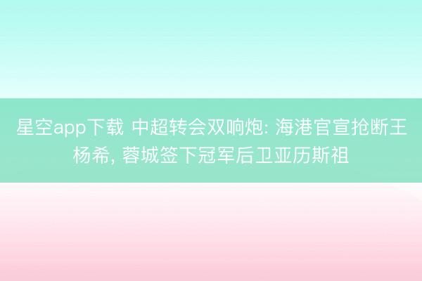 星空app下载 中超转会双响炮: 海港官宣抢断王杨希, 蓉城签下冠军后卫亚历斯祖