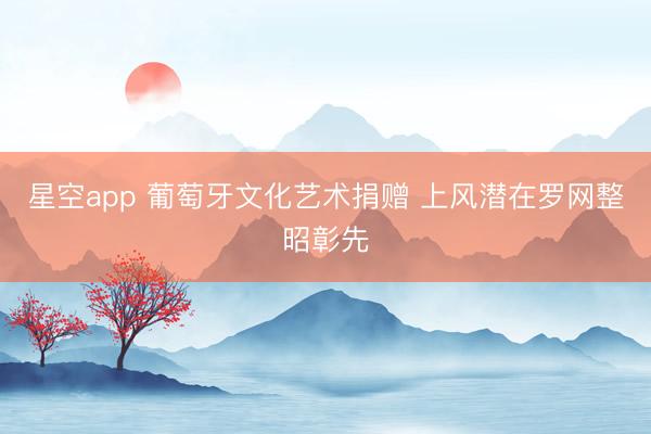 星空app 葡萄牙文化艺术捐赠 上风潜在罗网整昭彰先