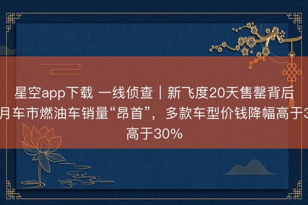 星空app下载 一线侦查｜新飞度20天售罄背后：1月车市燃油车销量“昂首”，多款车型价钱降幅高于30%