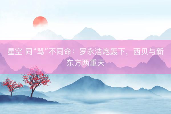 星空 同“骂”不同命:罗永浩炮轰下,西贝与新东方两重天