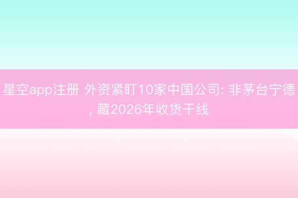 星空app注册 外资紧盯10家中国公司: 非茅台宁德， 藏2026年收货干线