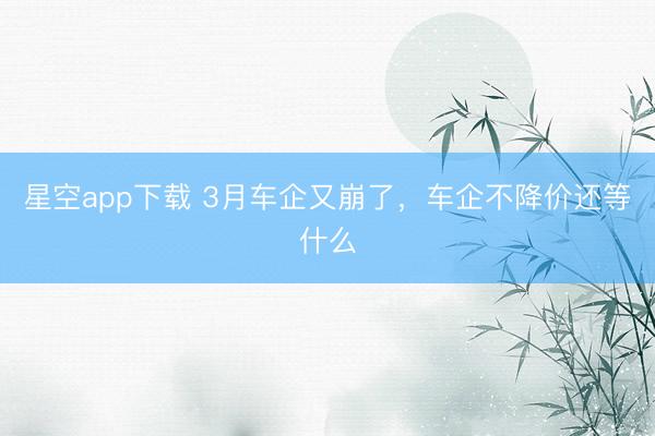 星空app下载 3月车企又崩了，车企不降价还等什么