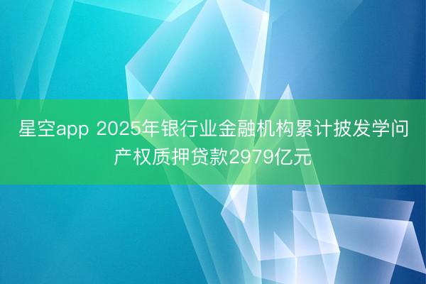 星空app 2025年银行业金融机构累计披发学问产权质押贷款2979亿元
