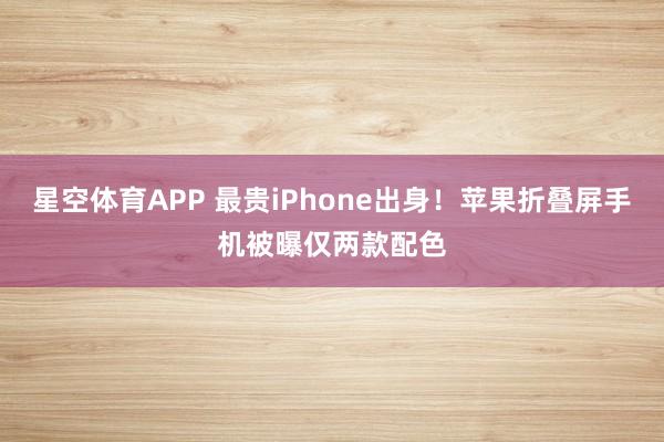 星空体育APP 最贵iPhone出身！苹果折叠屏手机被曝仅两款配色