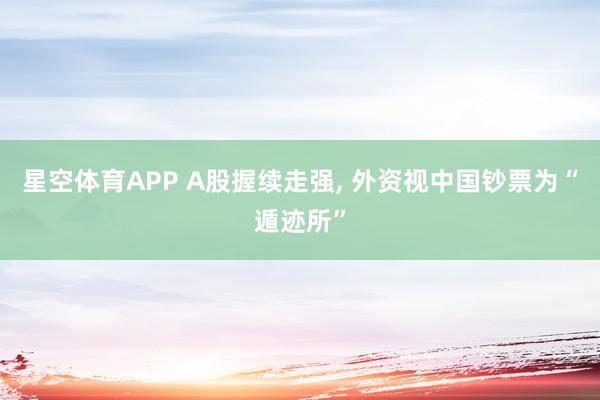 星空体育APP A股握续走强， 外资视中国钞票为“遁迹所”