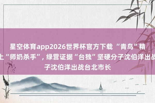 星空体育app2026世界杯官方下载 “青鸟”精神领袖对上“师奶杀手”， 绿营证据“台独”坚硬分子沈伯洋出战台北市长