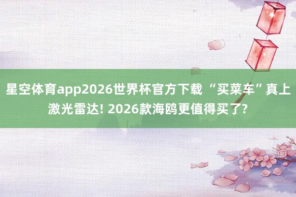 星空体育app2026世界杯官方下载 “买菜车”真上激光雷达! 2026款海鸥更值得买了?