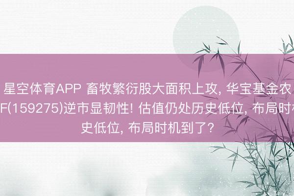 星空体育APP 畜牧繁衍股大面积上攻， 华宝基金农牧渔ETF(159275)逆市显韧性! 估值仍处历史低位， 布局时机到了?