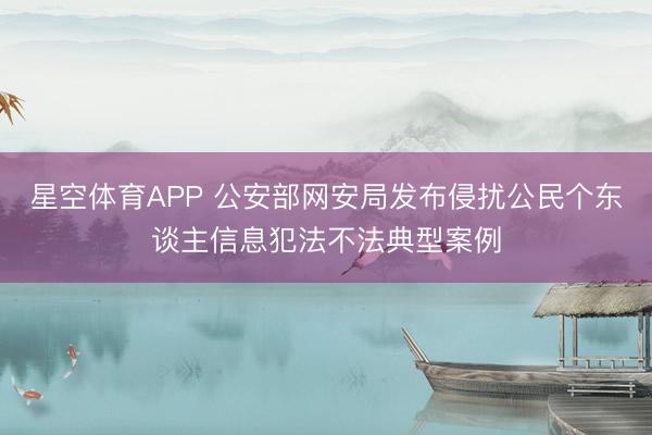 星空体育APP 公安部网安局发布侵扰公民个东谈主信息犯法不法典型案例
