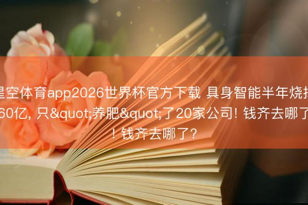 星空体育app2026世界杯官方下载 具身智能半年烧掉460亿， 只"养肥"了20家公司! 钱齐去哪了?